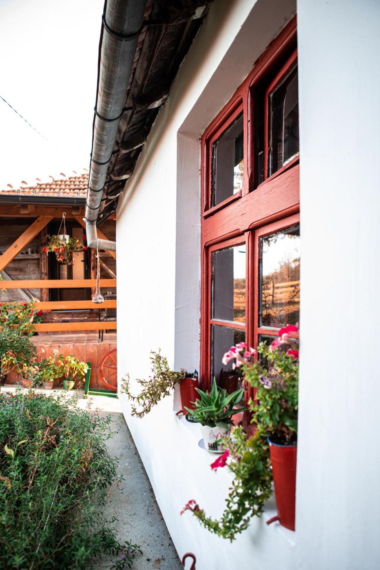 Prenociste Lelic Villa Valjevo Eksteriør bilde