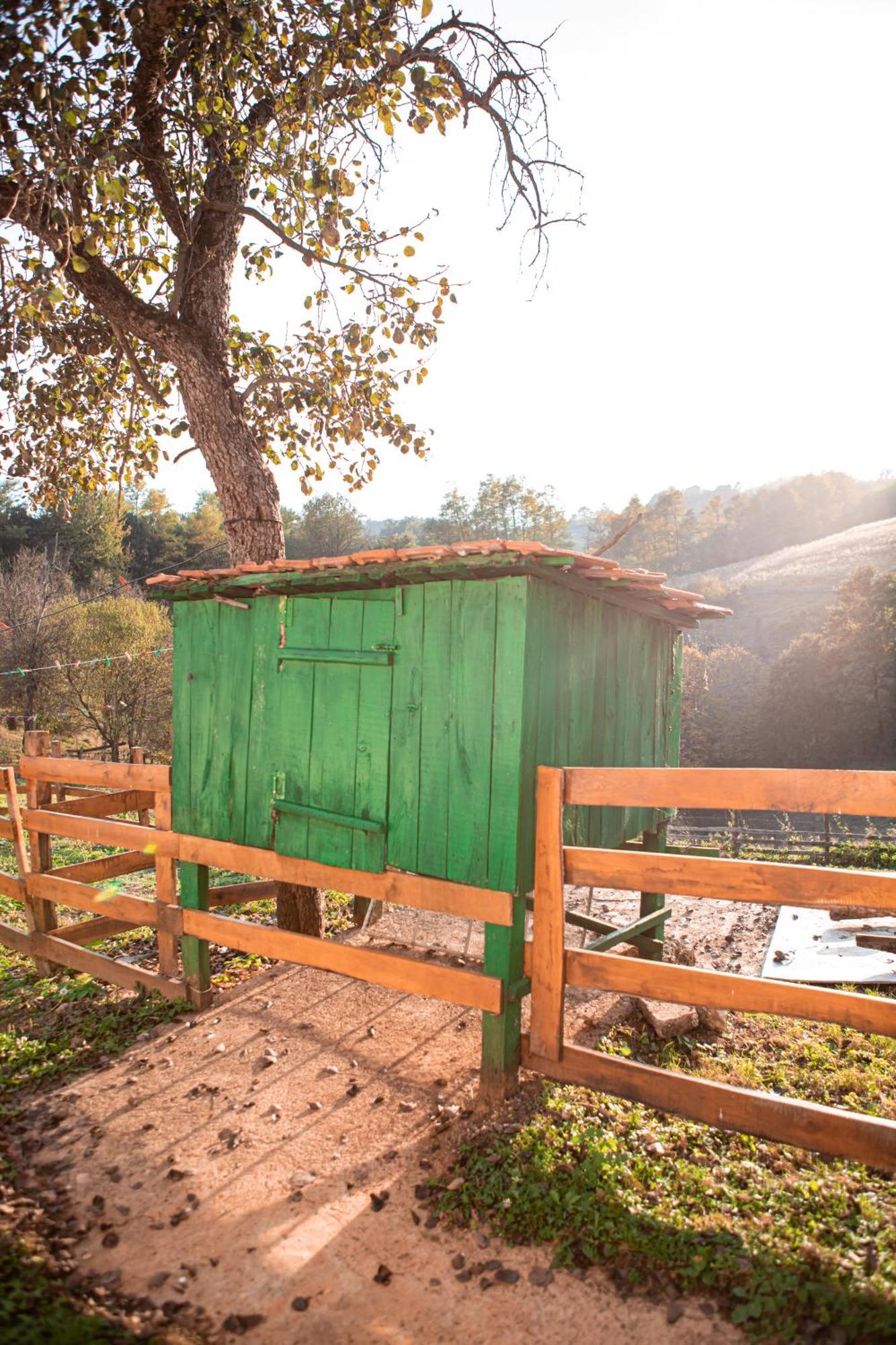 Prenociste Lelic Villa Valjevo Eksteriør bilde