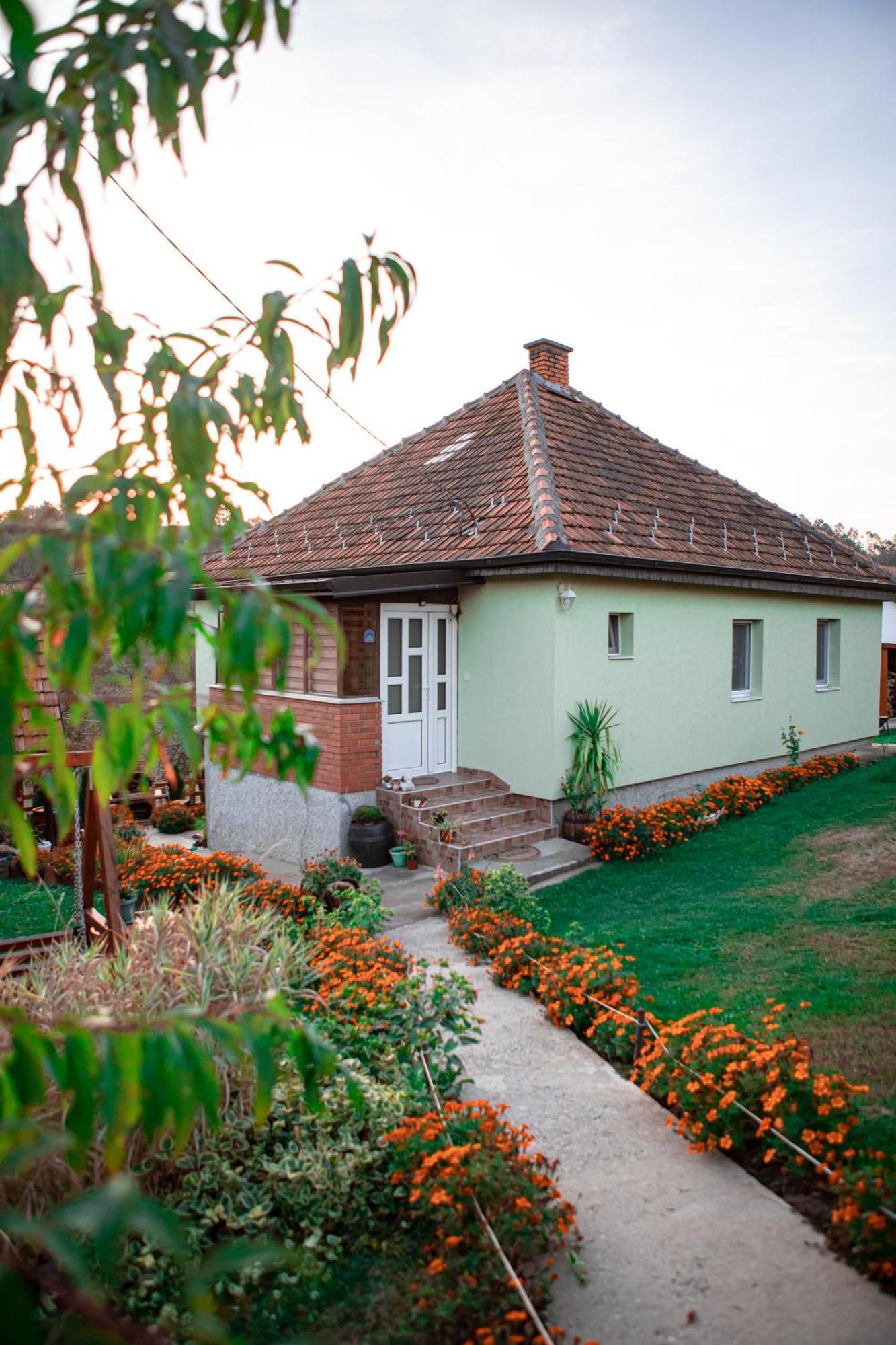 Prenociste Lelic Villa Valjevo Eksteriør bilde